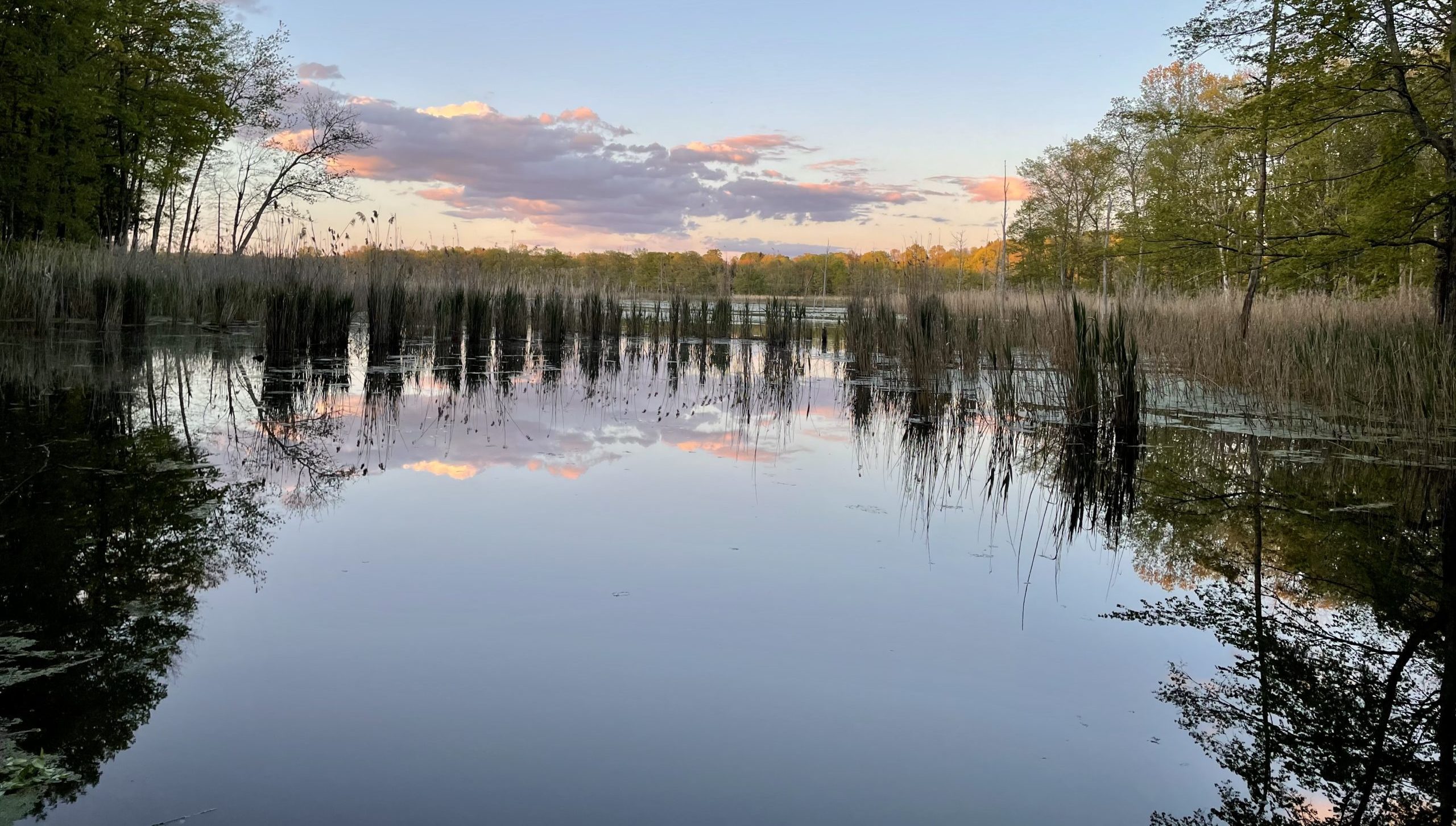 Home - Winnakee Land Trust